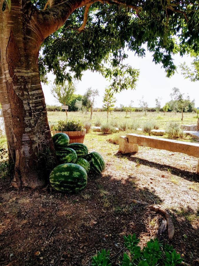 Villa Masseria Cataldo à Corigliano dʼOtranto Extérieur photo