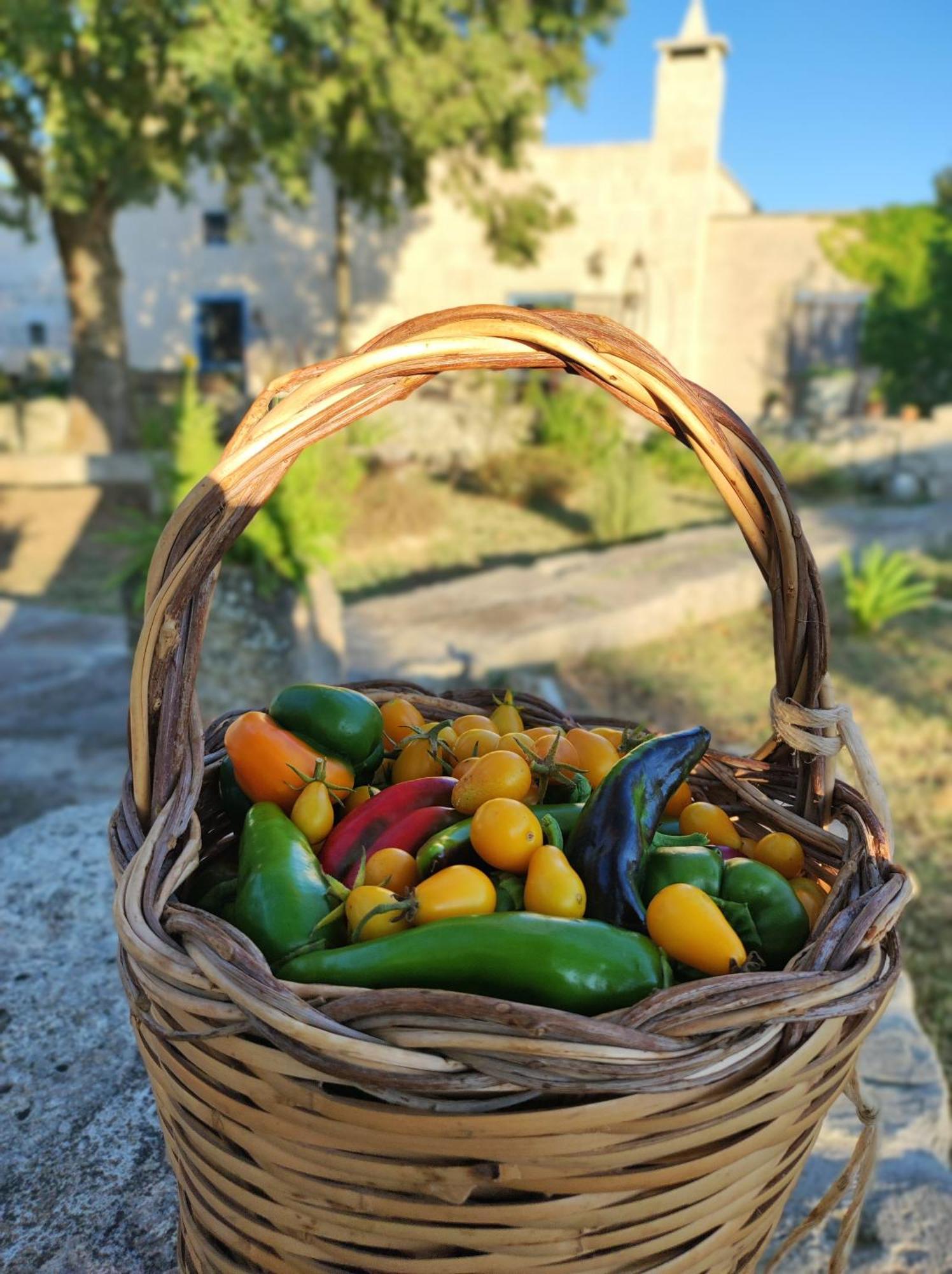 Villa Masseria Cataldo à Corigliano dʼOtranto Extérieur photo