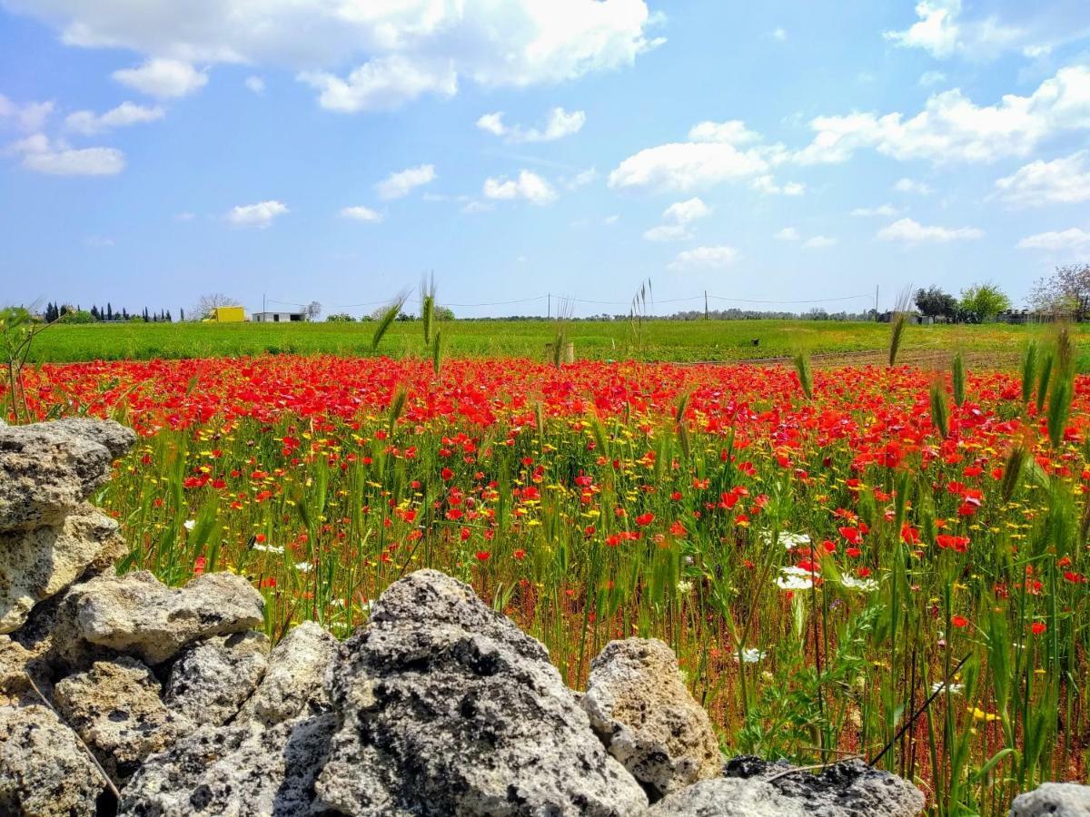 Villa Masseria Cataldo à Corigliano dʼOtranto Extérieur photo