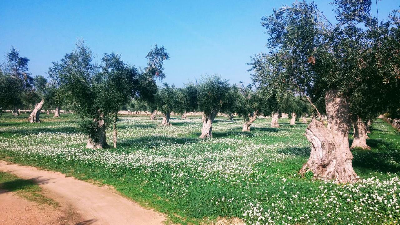 Villa Masseria Cataldo à Corigliano dʼOtranto Extérieur photo